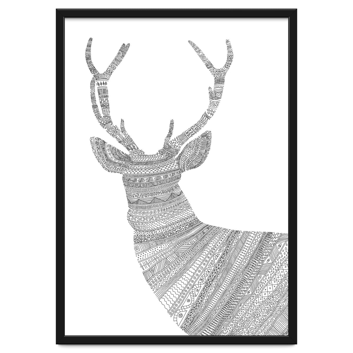 Stag 2