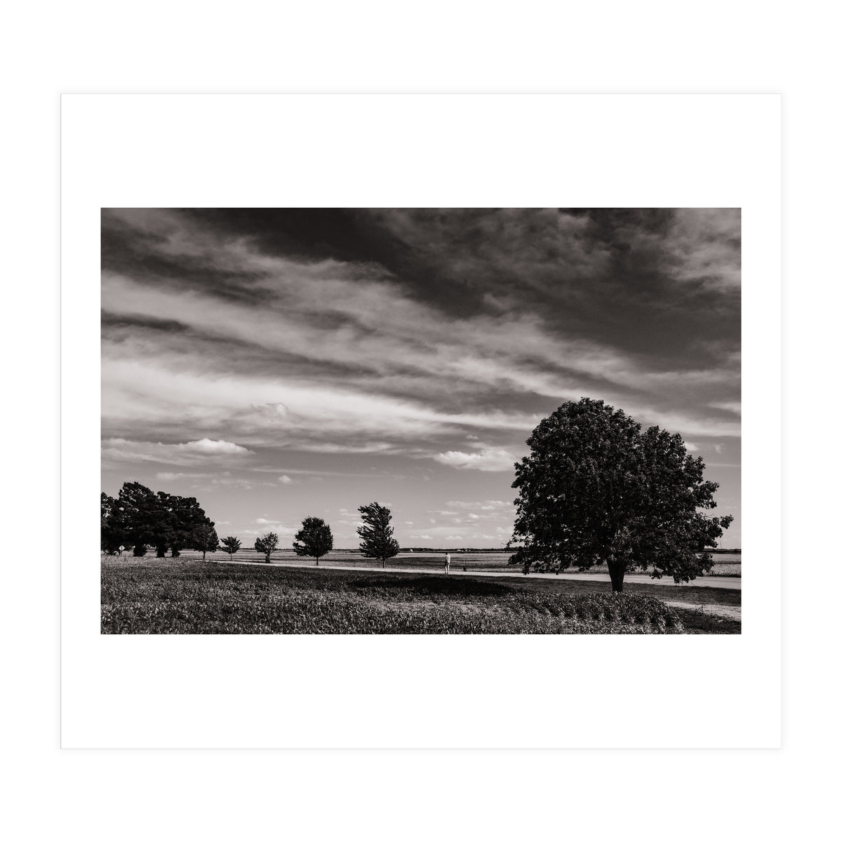 Country Road, Illinois  (Print Only)
