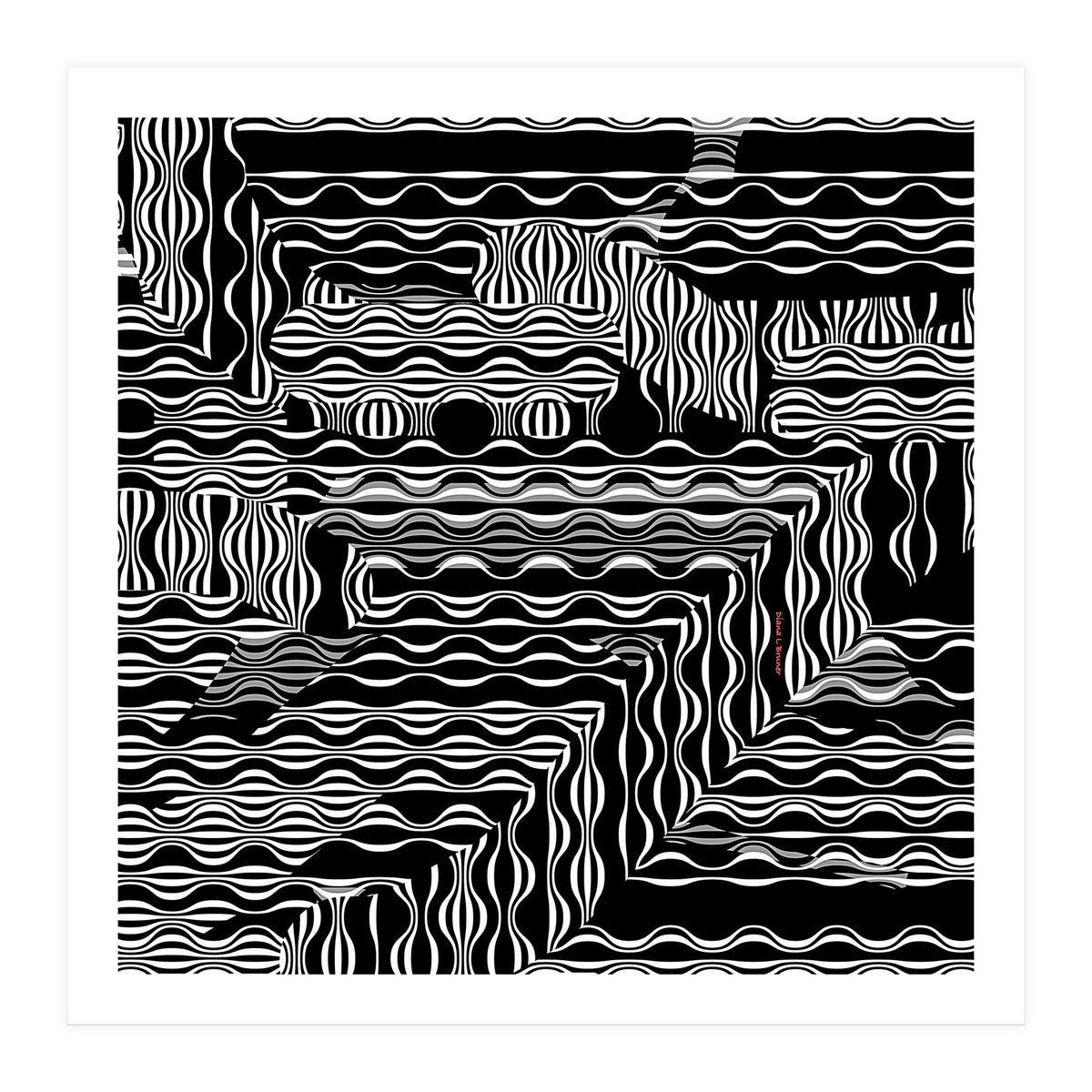 BLACK AND WHITE EXOTIC (Print Only)