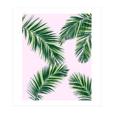 Palmfrond (Print Only) thumbnail