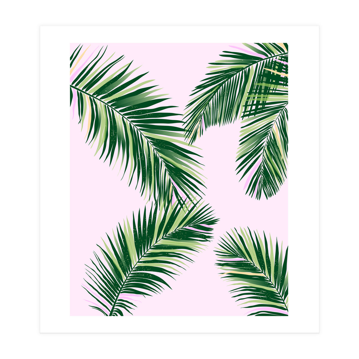 Palmfrond (Print Only)