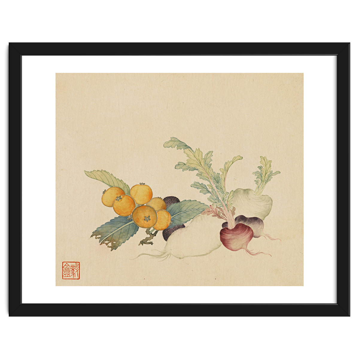 Wang Chengpi~flowers And Vegetables, Vegetables, Fruits, Loquat, White Radish, Carrot, Radish