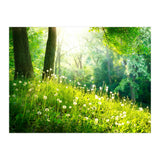Nature (Print Only) thumbnail