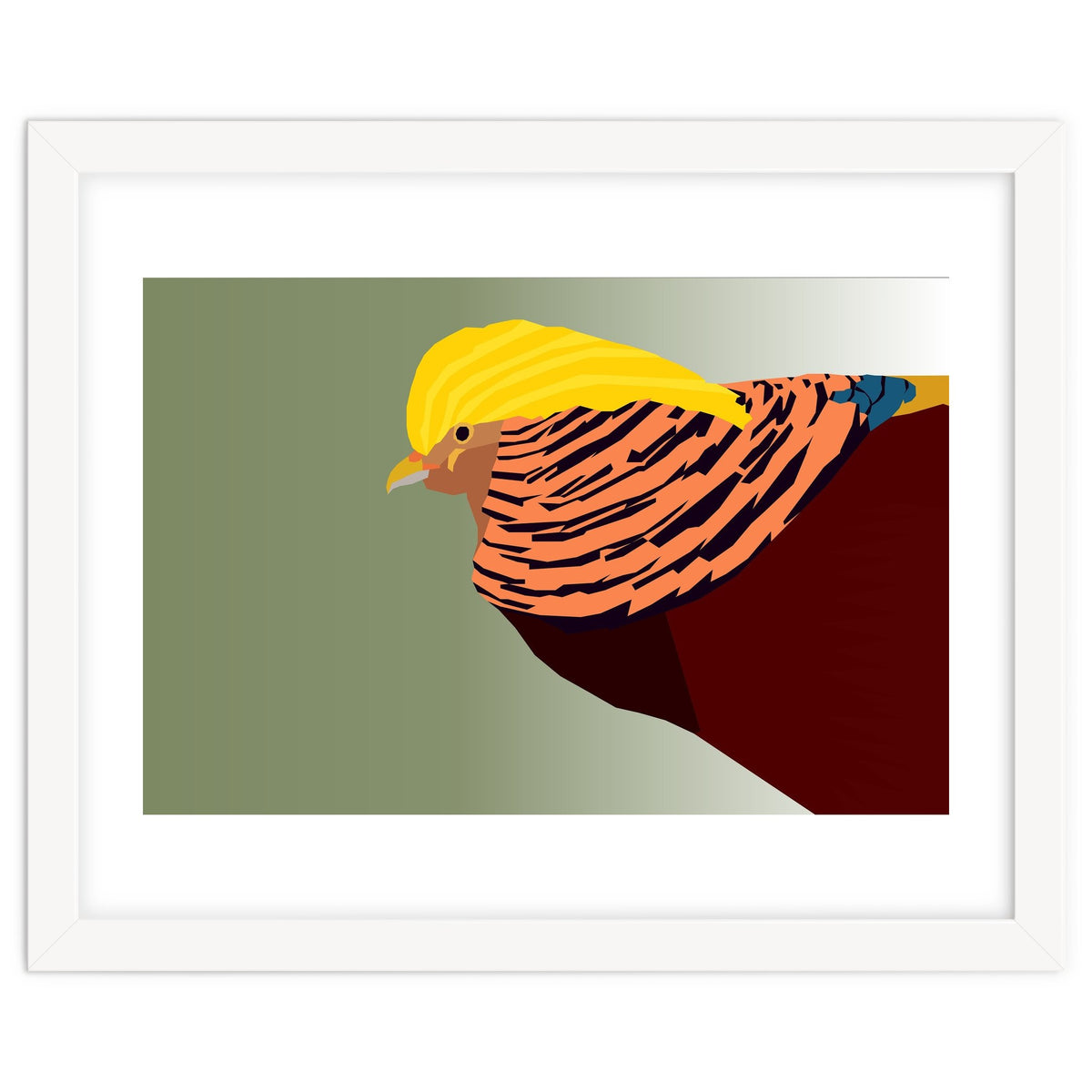 Golden Pheasant Bird Art
