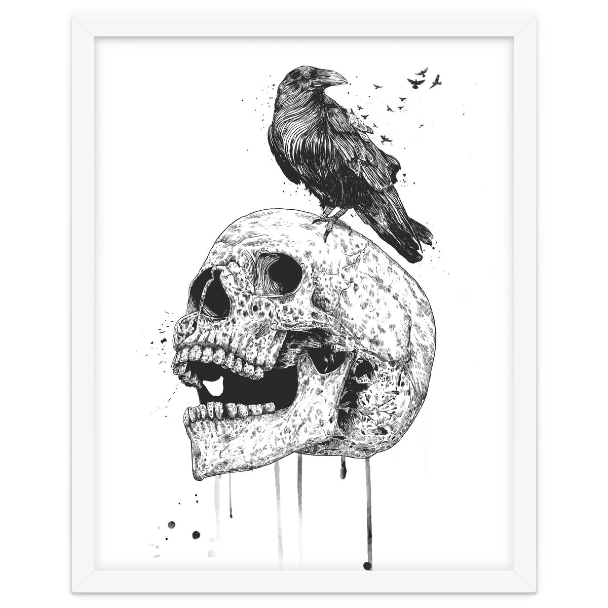 New Skull (bw)