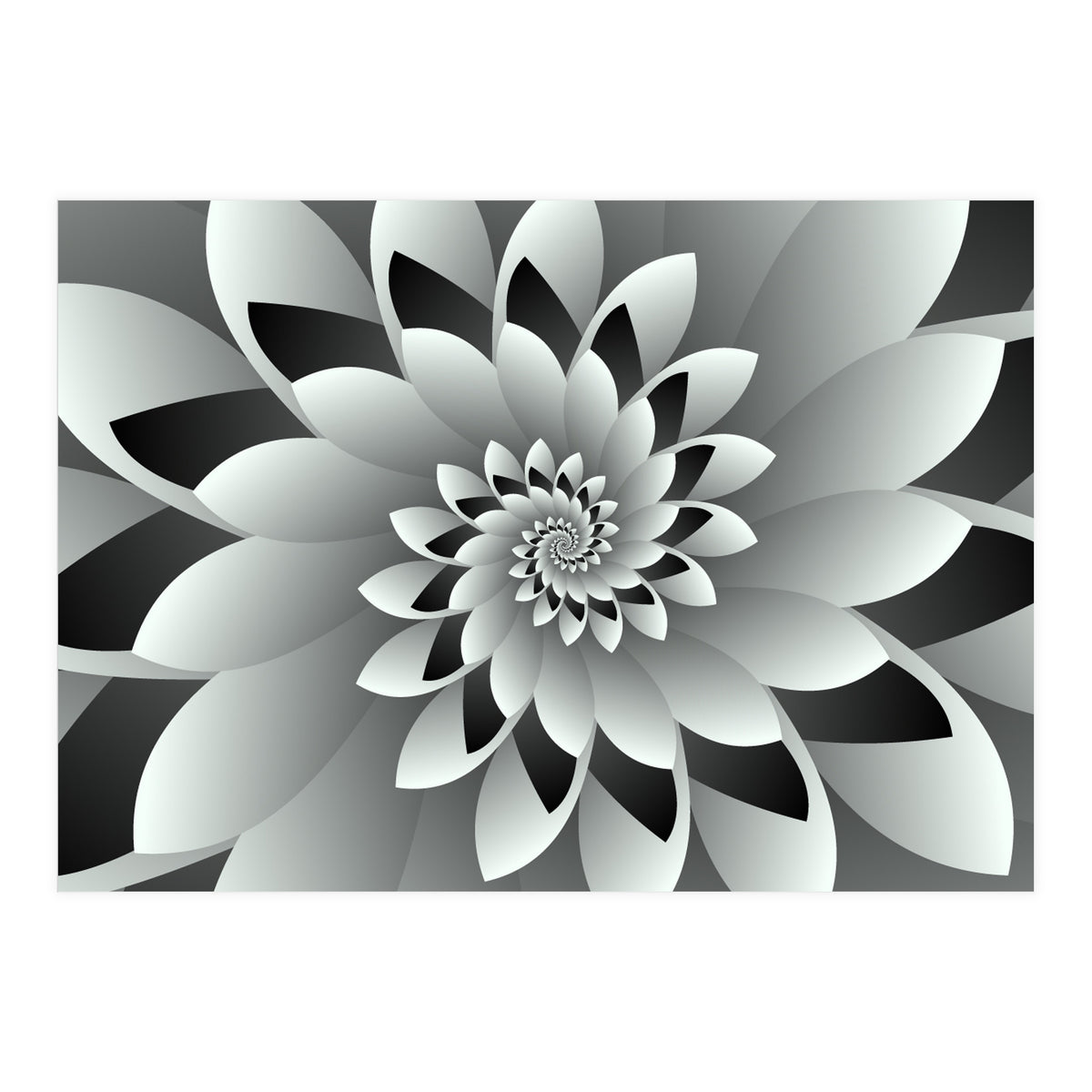 Black & White Floral (Print Only)