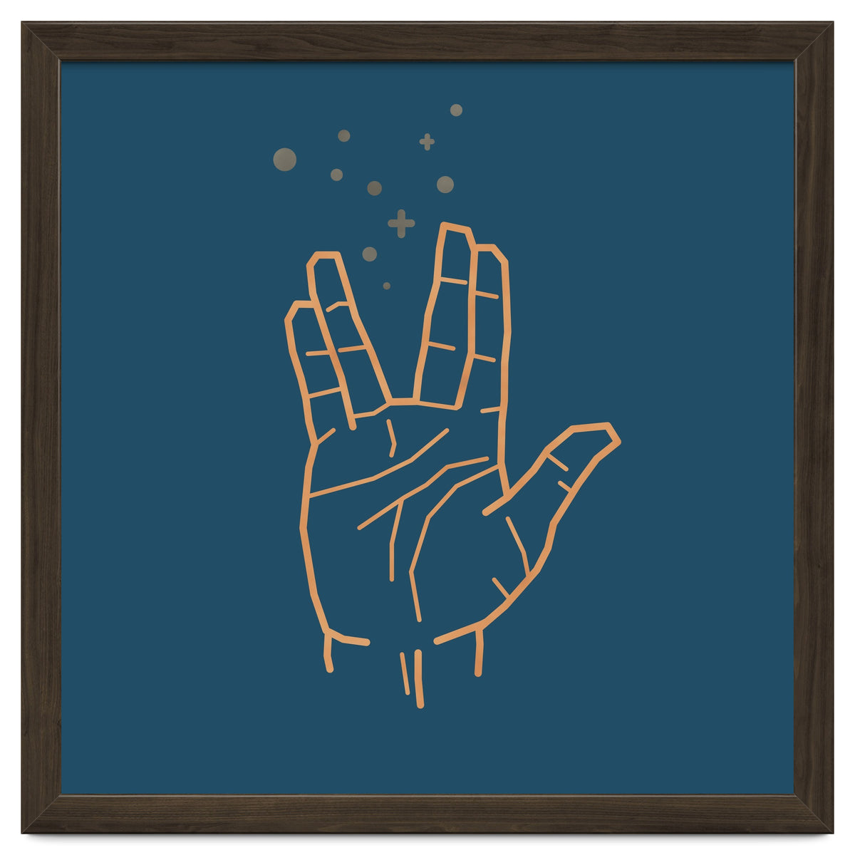 Vulcan Salute