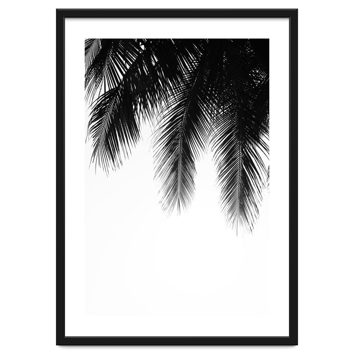 Palm leaves