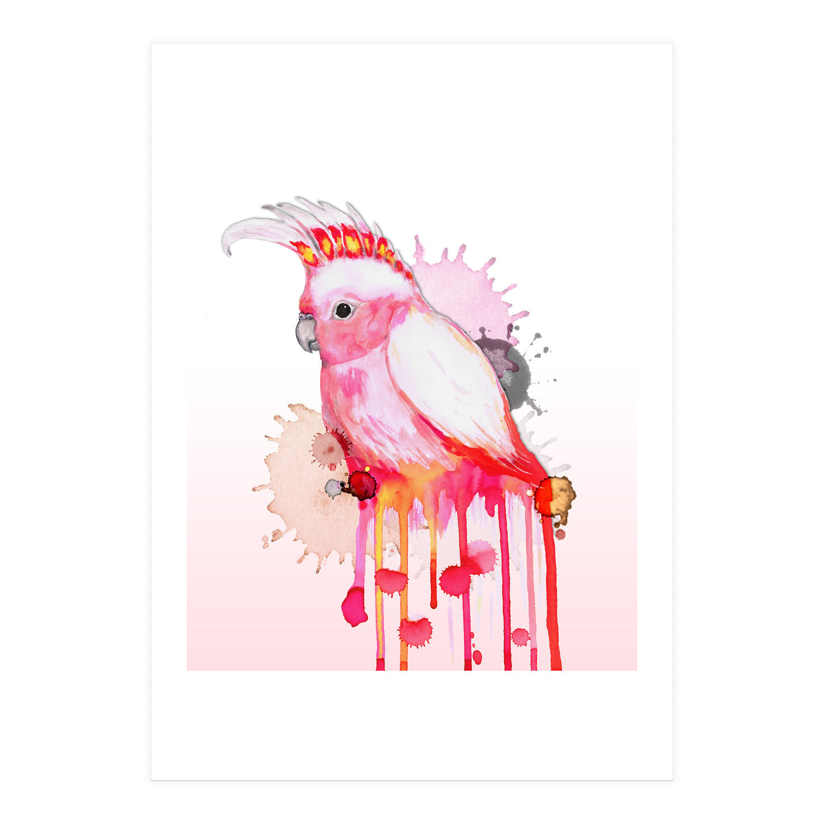 Major Mitchell's cockatoo (Print Only)
