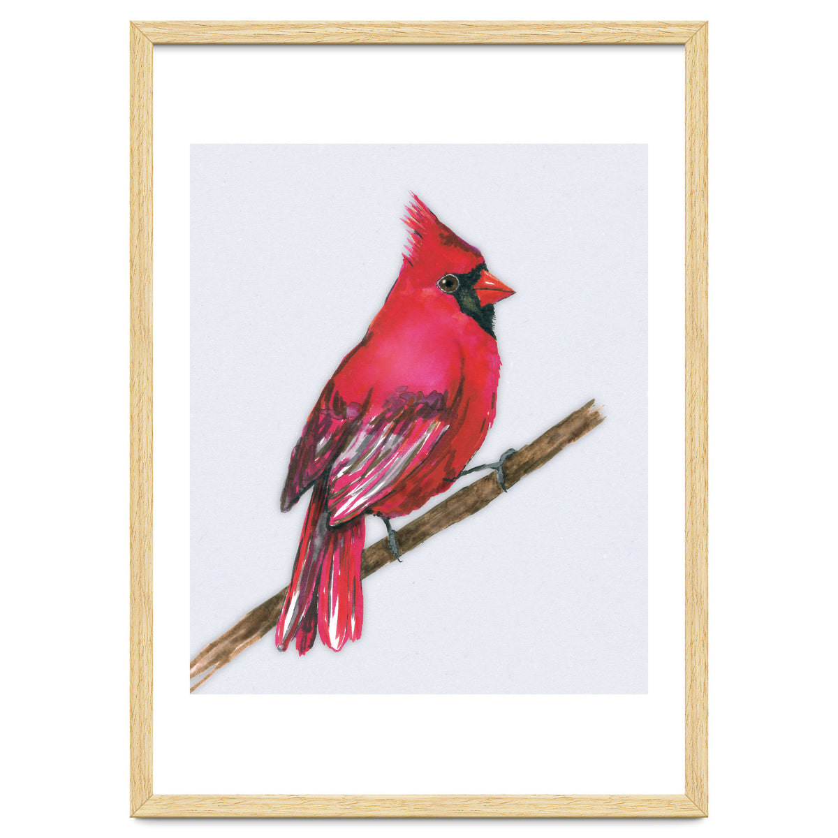 A Northern cardinal watercolor