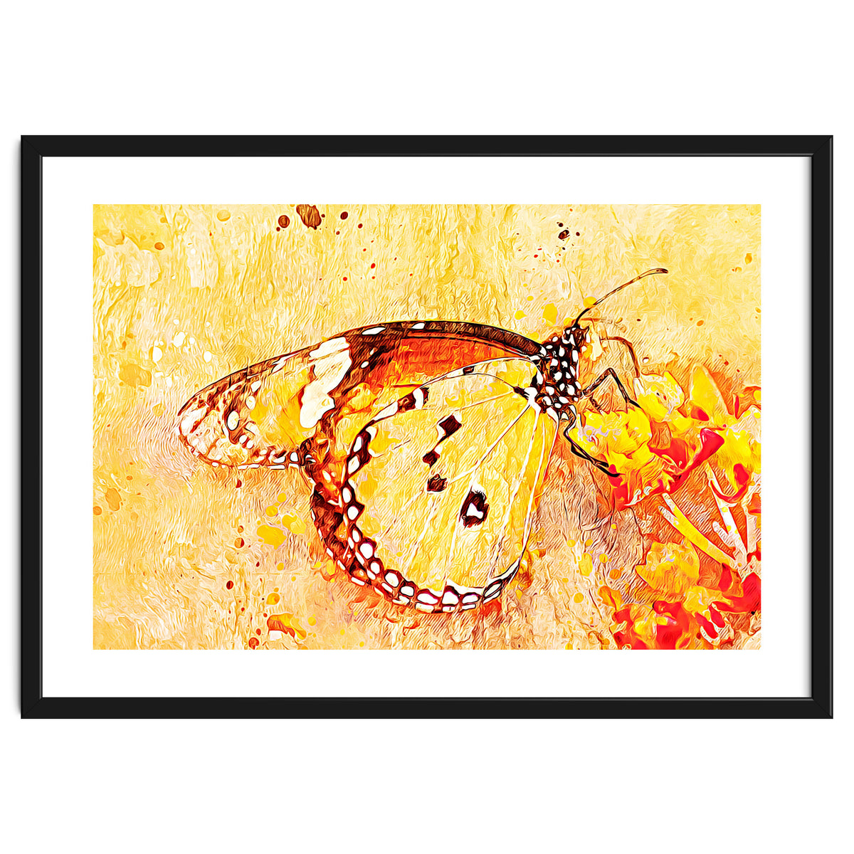 Butterfly On Aclepias