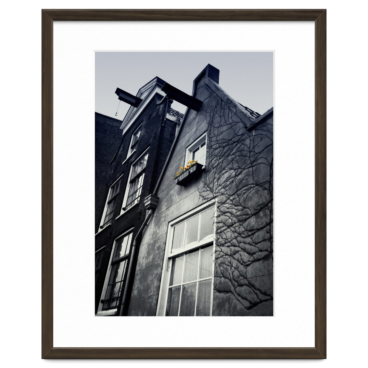 Amsterdam. House With Yellow Flowers.