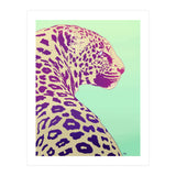 Leopard Under The Sun (Print Only) thumbnail