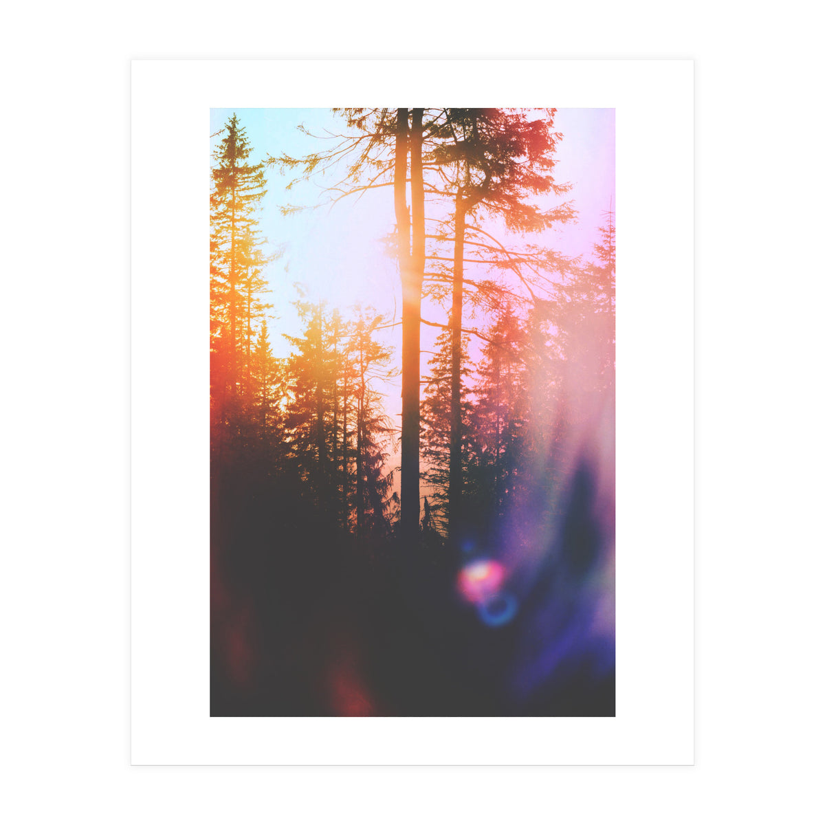 Finding Light (Print Only)