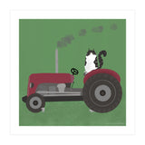 Cat 84: The farm cat (Print Only) thumbnail