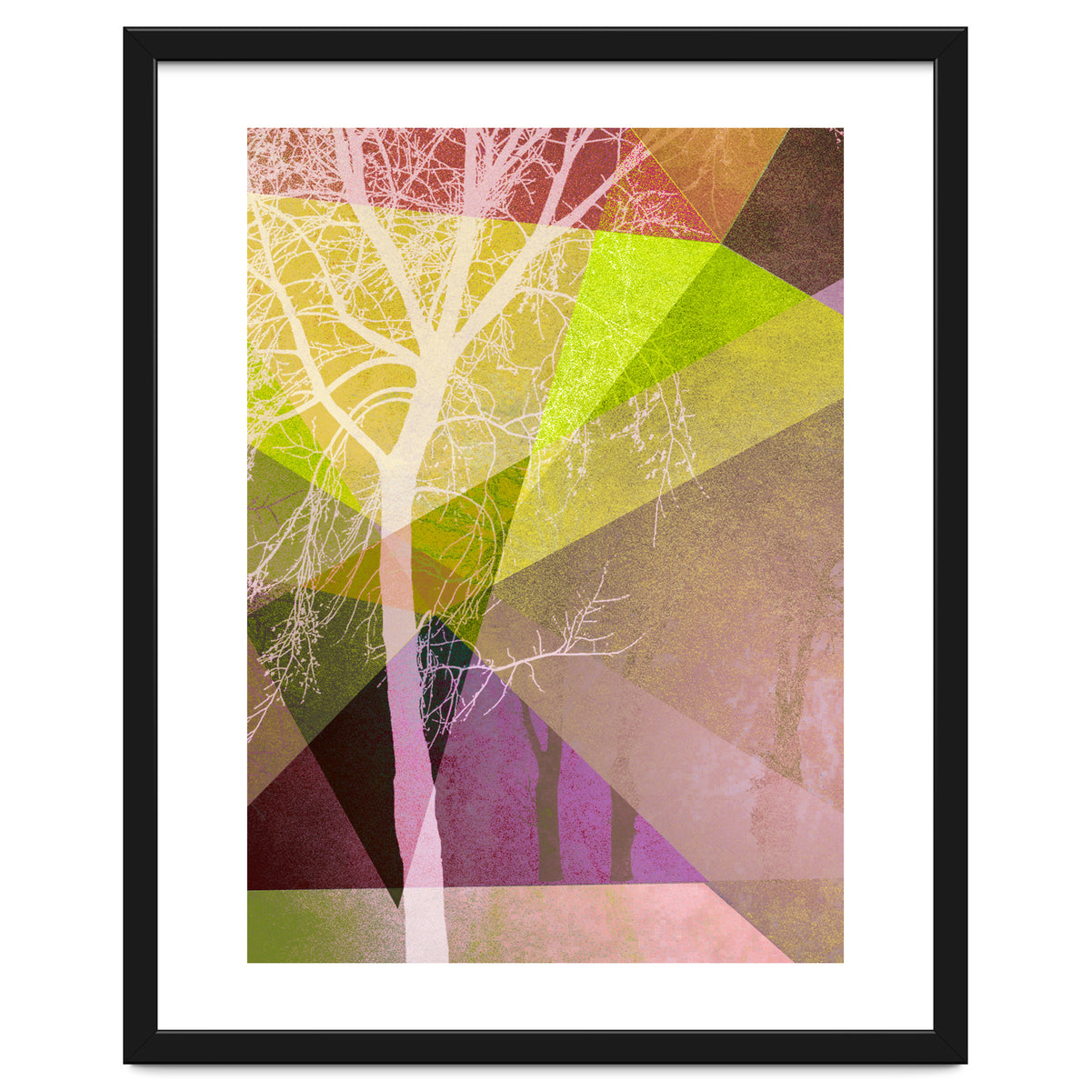 P22 Trees And Triangles