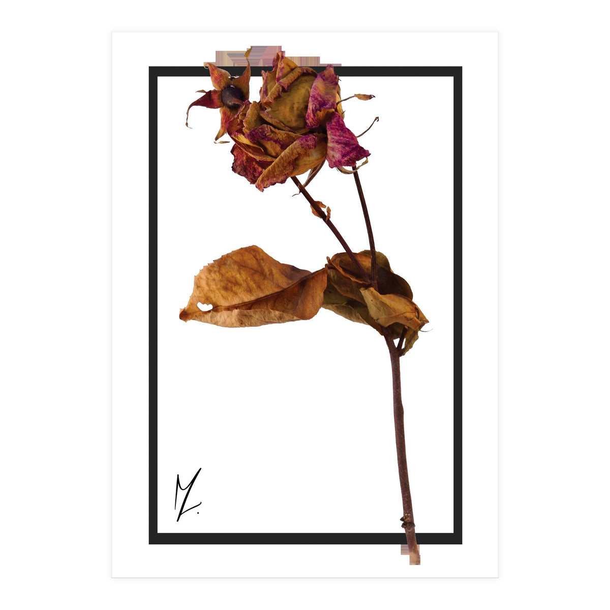 Flower 1 (Print Only)