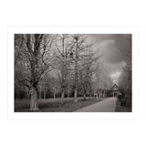 Bute Park, Cardiff (Print Only) thumbnail