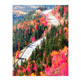 Valley of Pink Trees | Fantasy Pop of Color Forest Nature | Jungle Adventure Road Trip Pine (Print Only) thumbnail