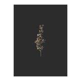 Gold Rush Botanicals (Print Only) thumbnail