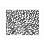 Black and white petal burst (Print Only) thumbnail