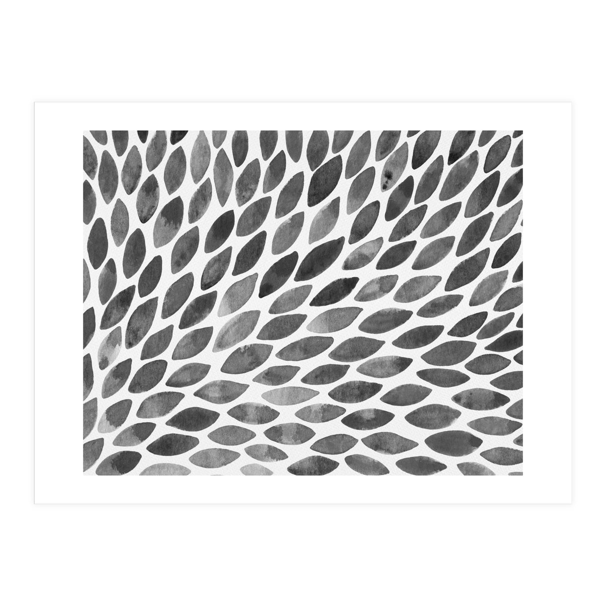 Black and white petal burst (Print Only)