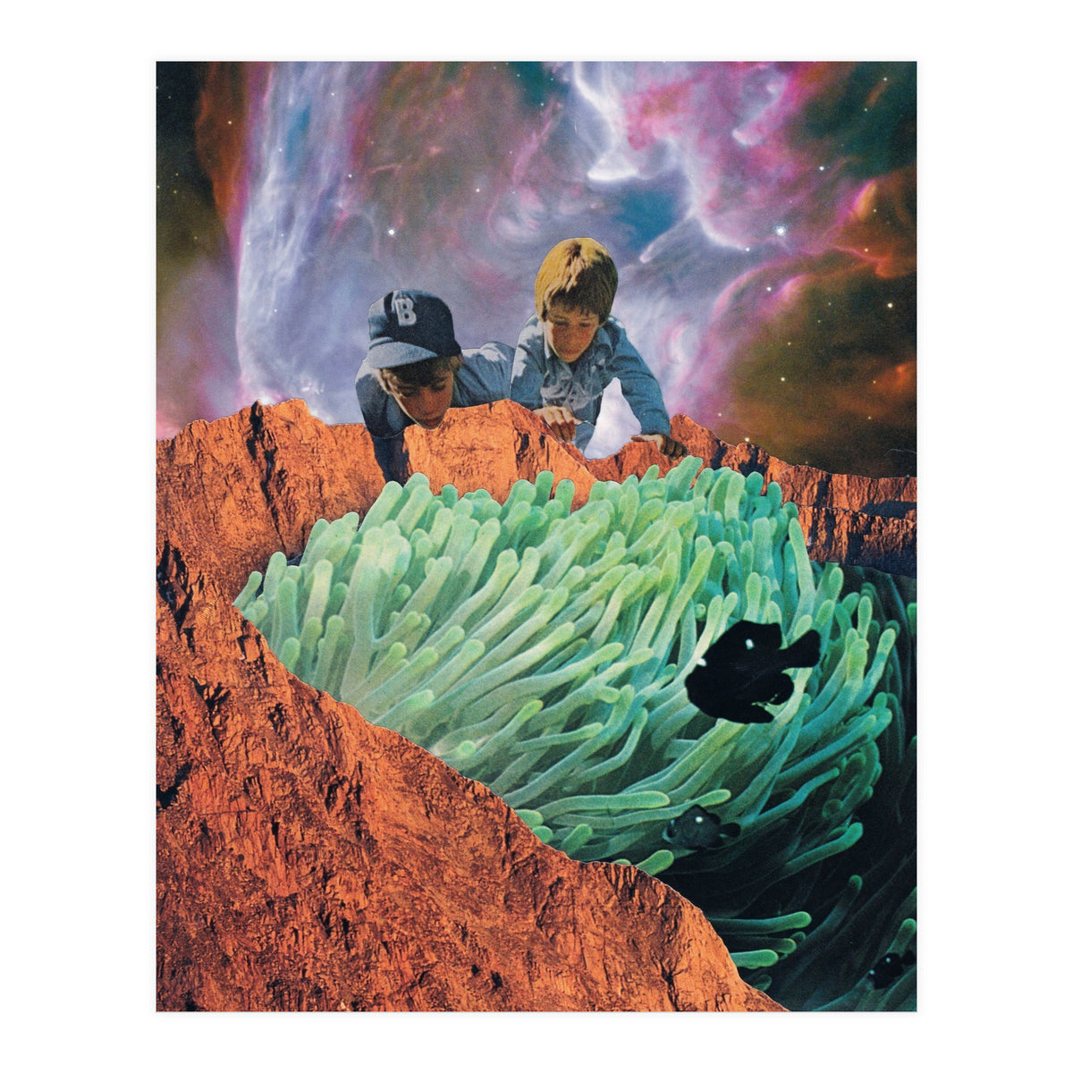 Blackfish (Print Only)