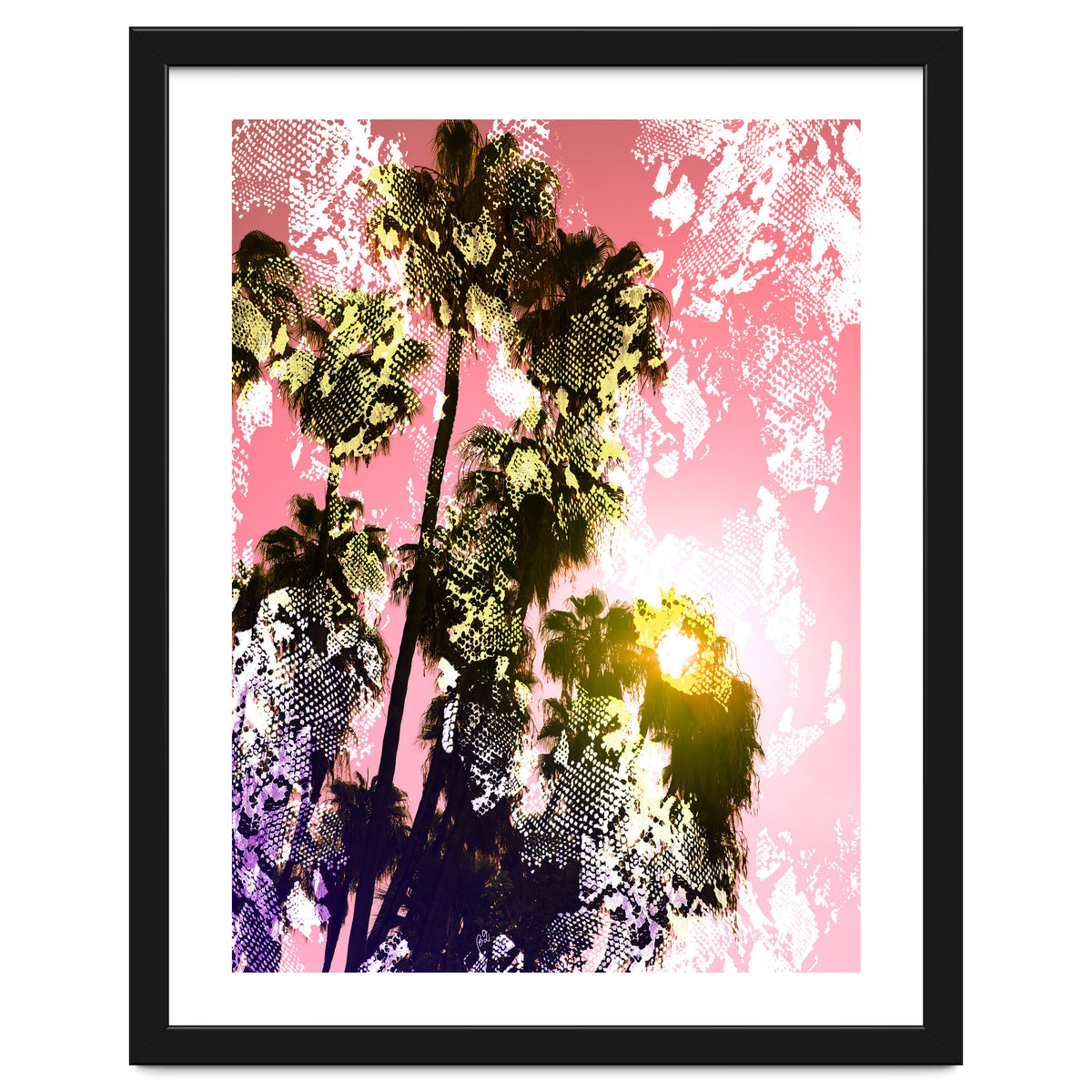 Snake sunset in paradise