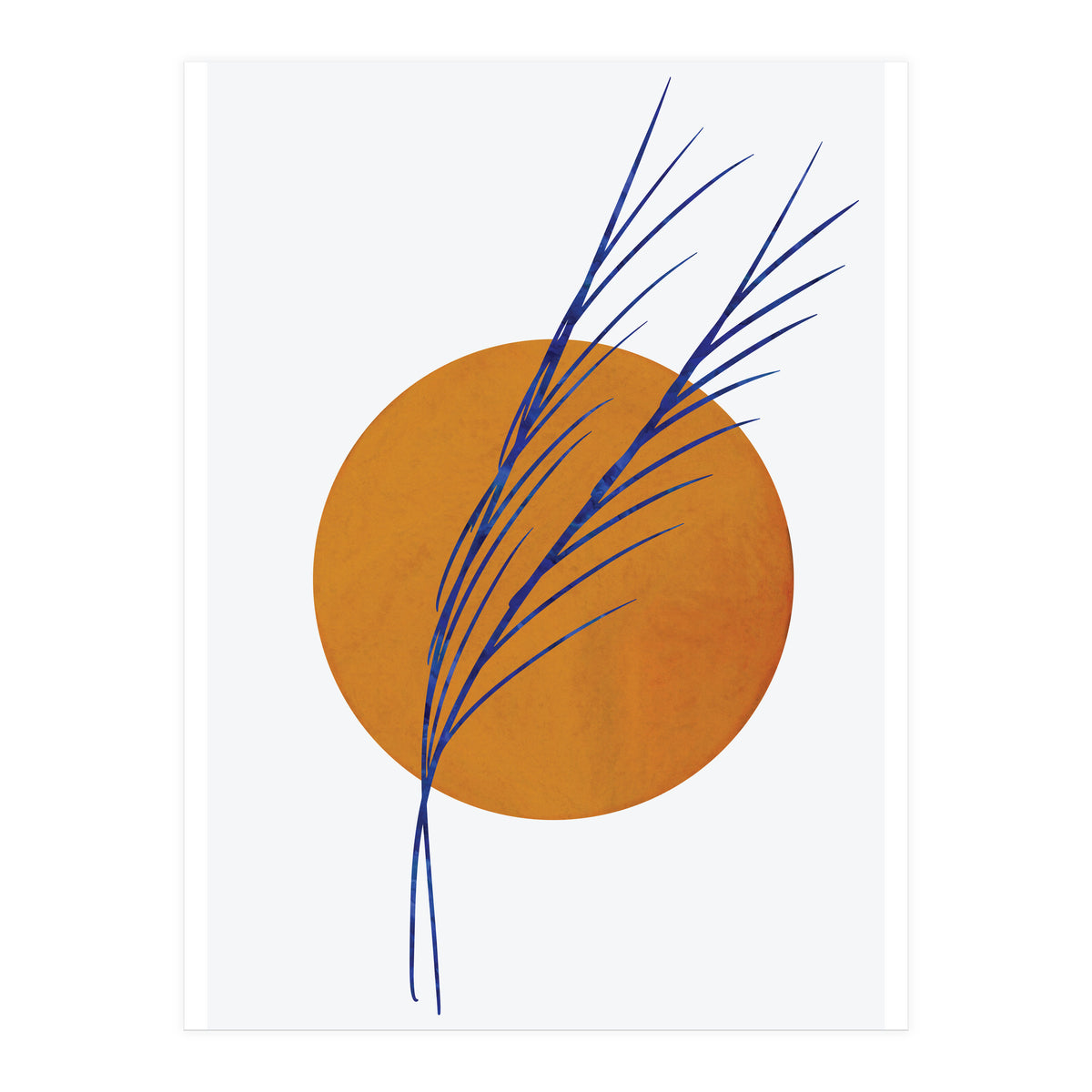 Floral Abstract Study 2  (Print Only)