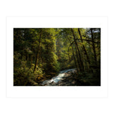 Cascade River (Print Only) thumbnail