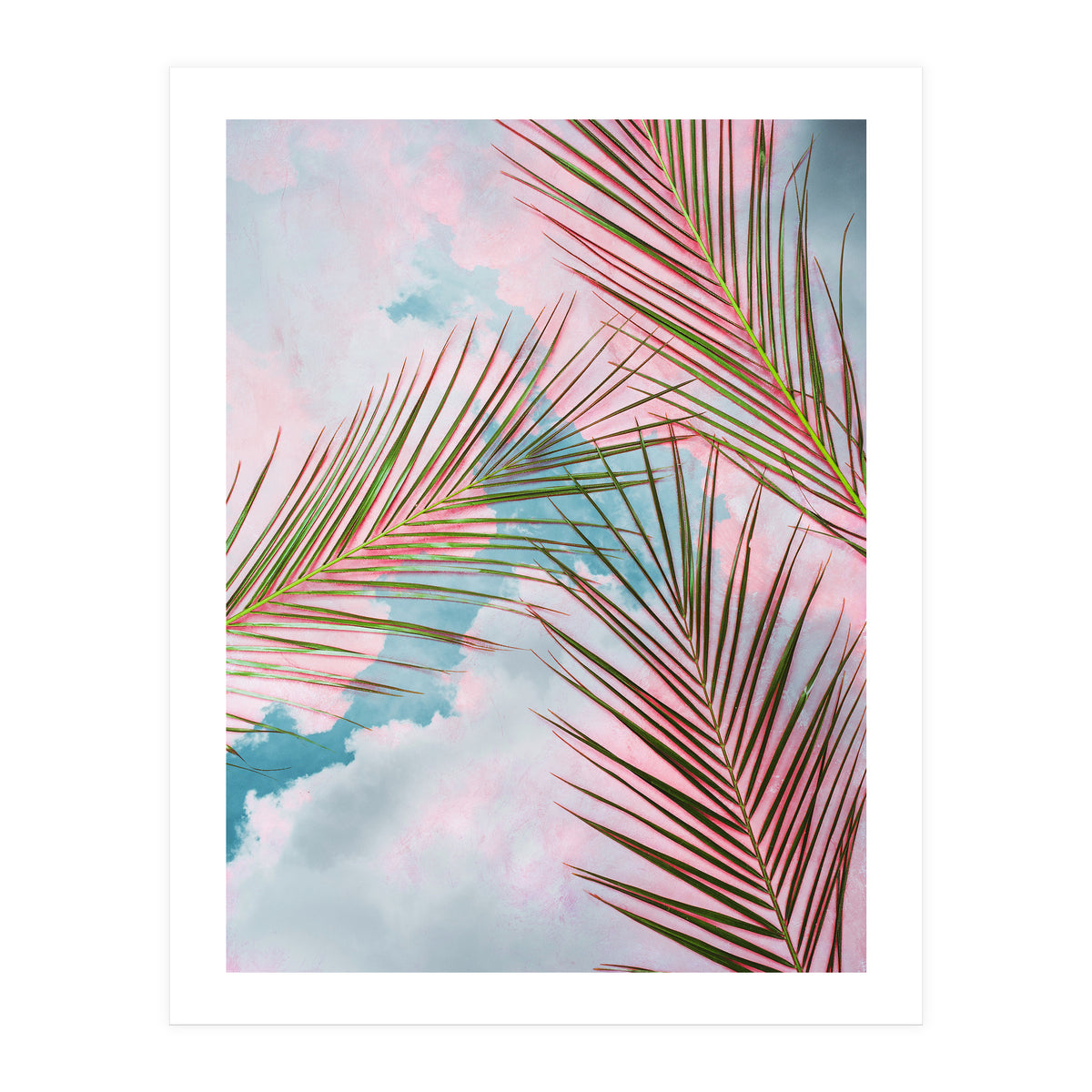 Palms + Sky (Print Only)