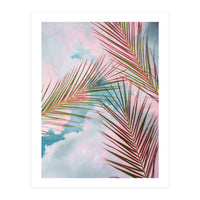 Palms + Sky (Print Only)