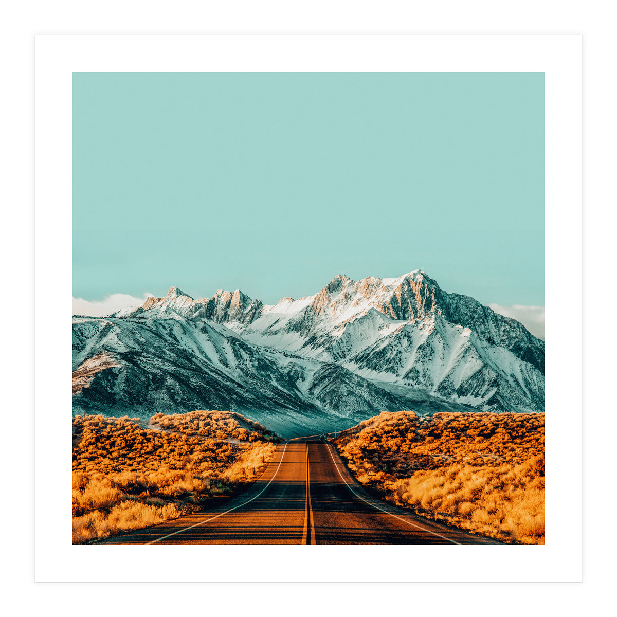 The Road Less Traveled (Print Only)
