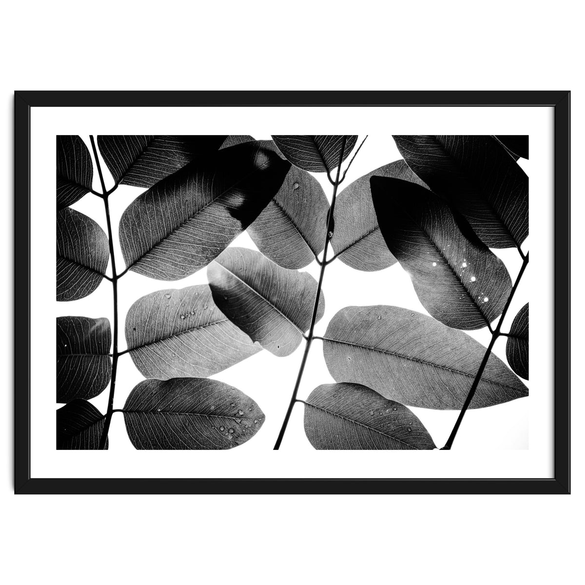 Experiments with Leaves II