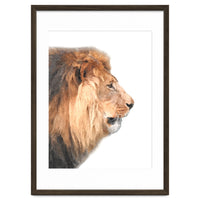 Lion Profile