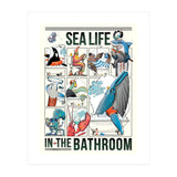 Sea Life in the Bathroom (Print Only) thumbnail