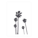 Palms & Sunset-Minimal B&W 2 (Print Only) thumbnail