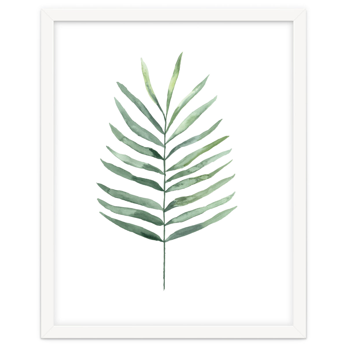 Botanical Illustration Fern