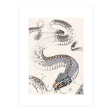 Dream Snake (Print Only) thumbnail