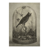 The Curiosity (Print Only) thumbnail