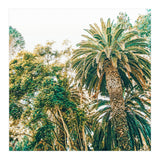 Newport (Print Only) thumbnail