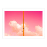 The Pink Half (Print Only) thumbnail