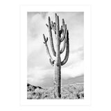 Loner (Print Only) thumbnail