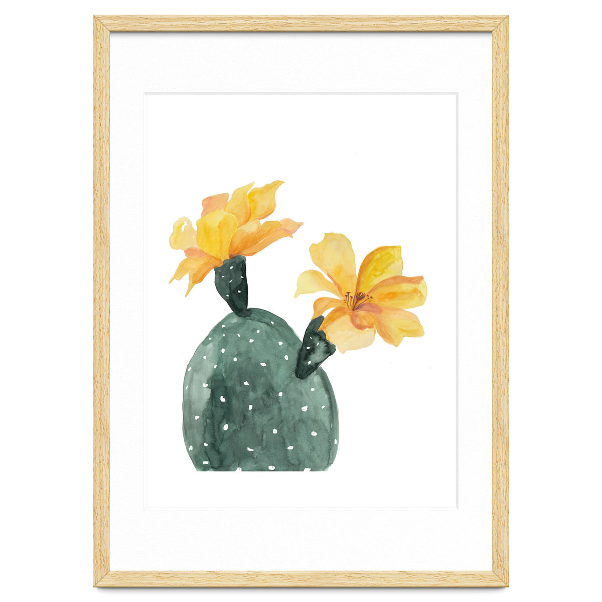 Botanical Illustration Yellow Cactus Flowers