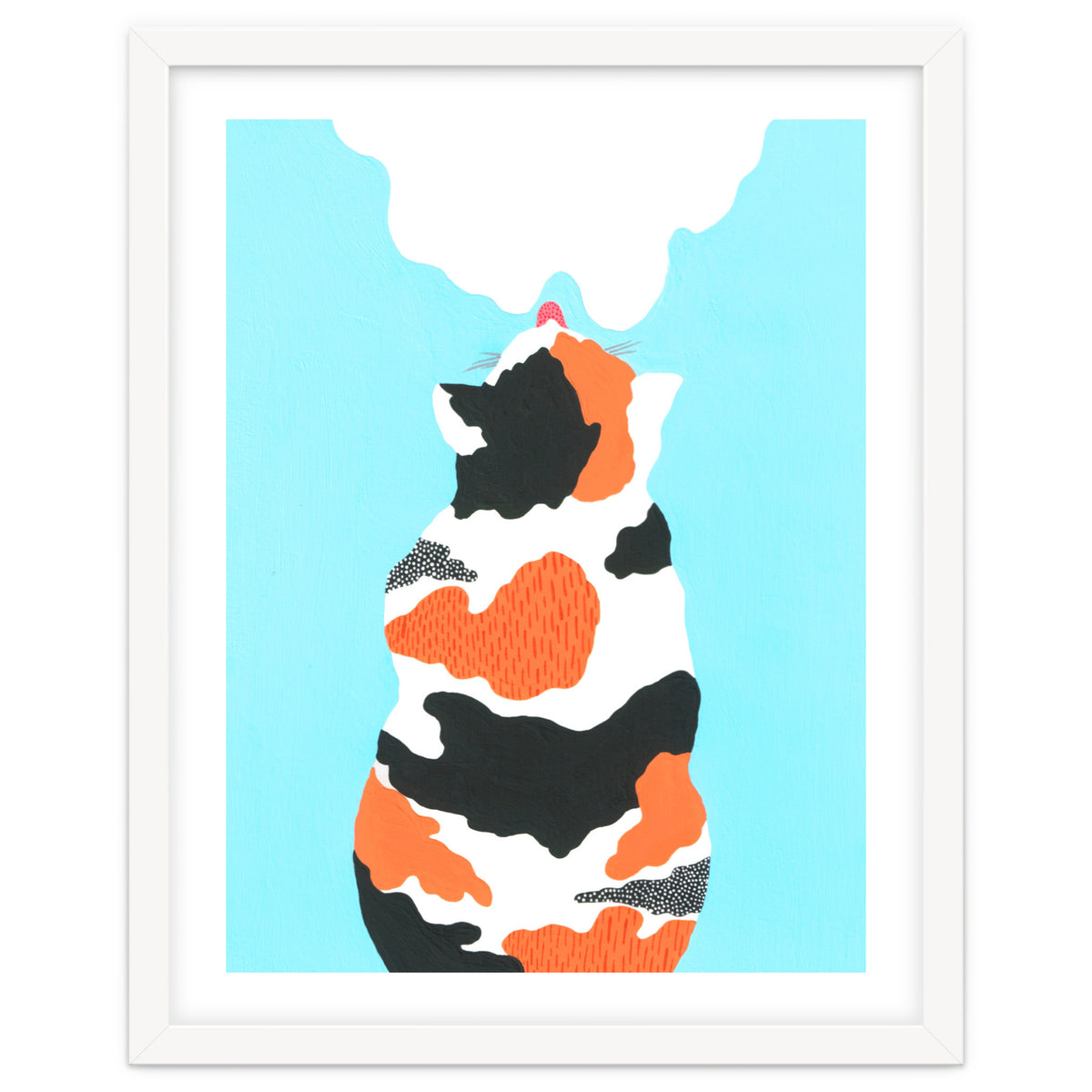 Tri Colored Calico Cat