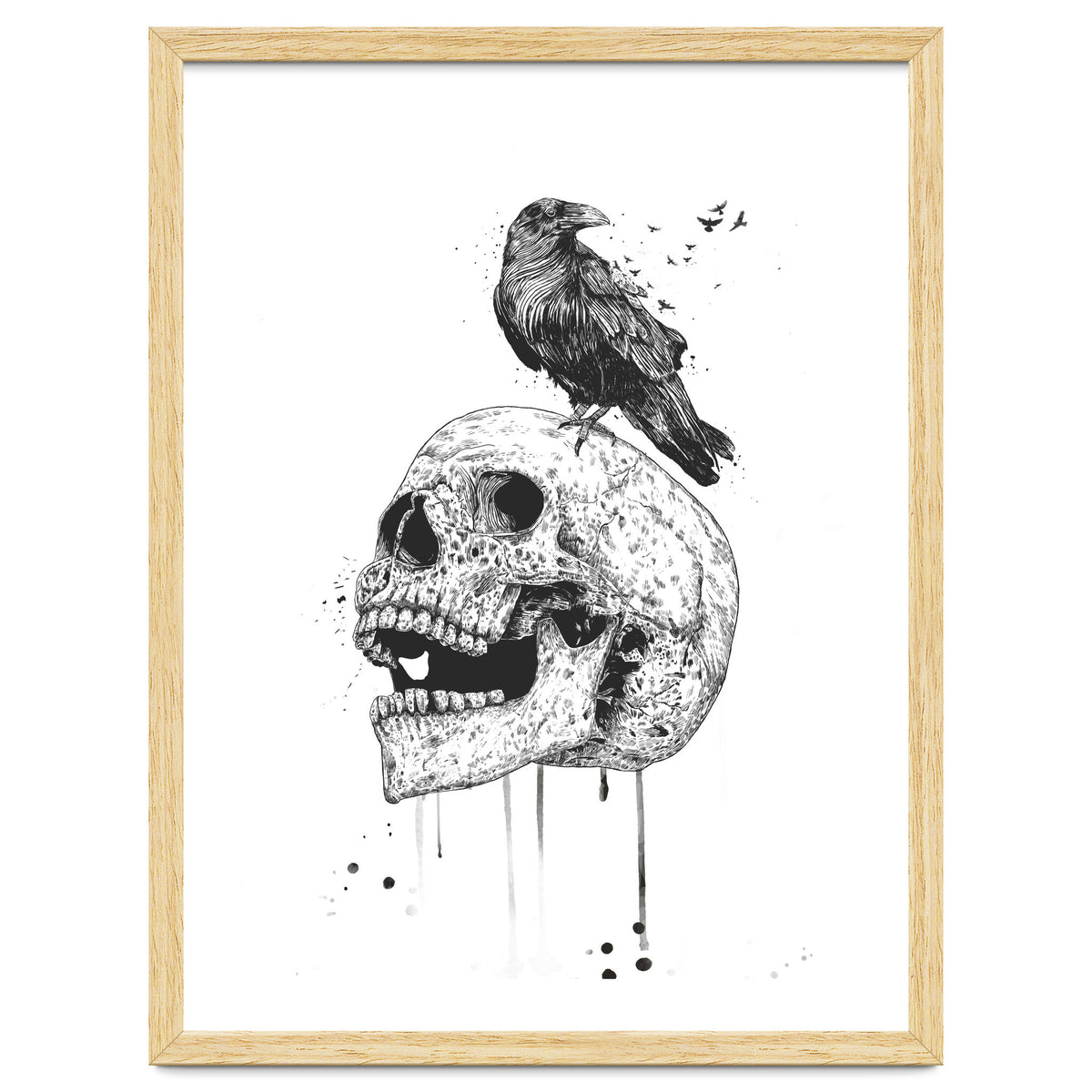 New Skull (bw)