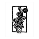 Fiddle Leaf Fig (Print Only) thumbnail