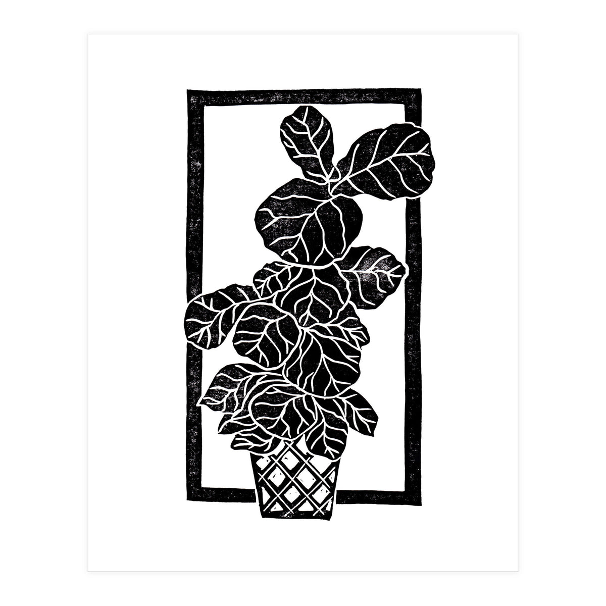 Fiddle Leaf Fig (Print Only)