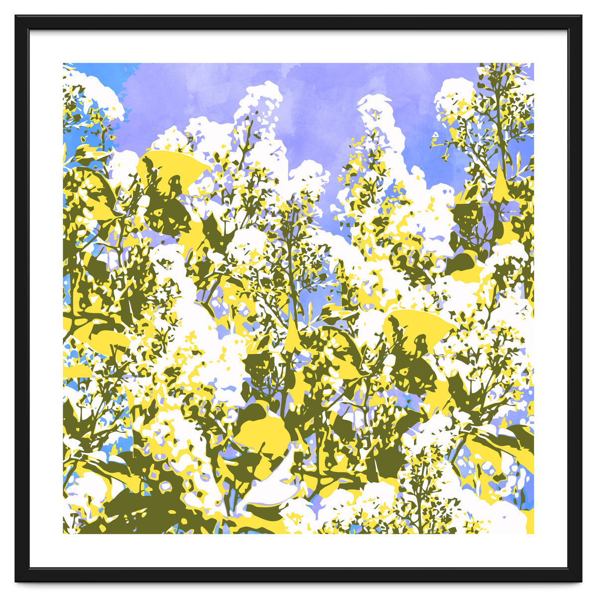 The Contrast Of Desire