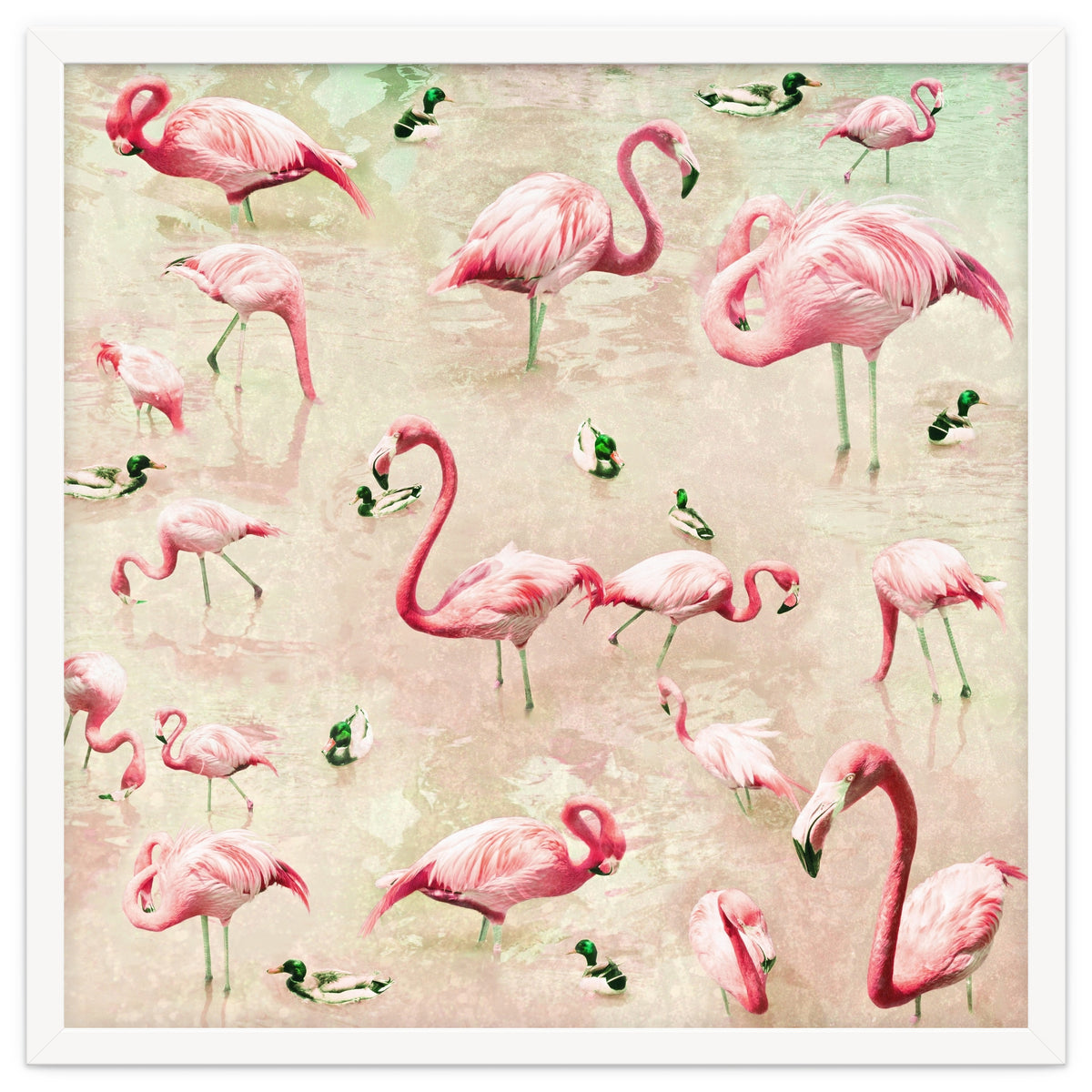 Flamingos Vintage Pink